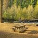 CEDAR SPRINGS CAMPGROUND (WA) 