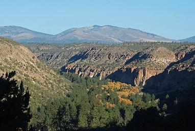 A canyon with trees changing color and mountains in the distance.