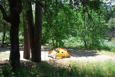 CURLY JACK CAMPGROUND