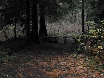 Limberlost Campground