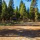 TWIN CREEK CAMPGROUND GROUP CAMPING SITE