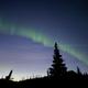 Night sky view of the northern lights above silhouetted trees and low campground structures — attractive scenic shot tied to the property (file is on the park’s site and depicts the park skyline).
