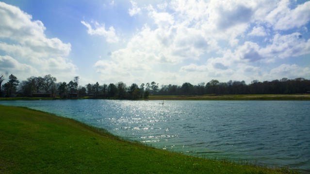 Junction Meadows