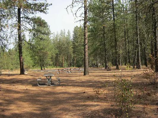 001, Loop: EVANS GROUP SITE