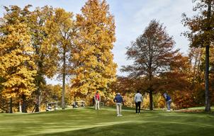 Auberge Primland Resort
