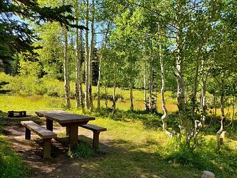 Gooseberry Creek Campground