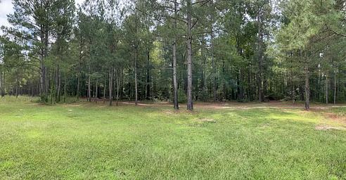 A photo of facility Longleaf Campground with No Amenities Shown