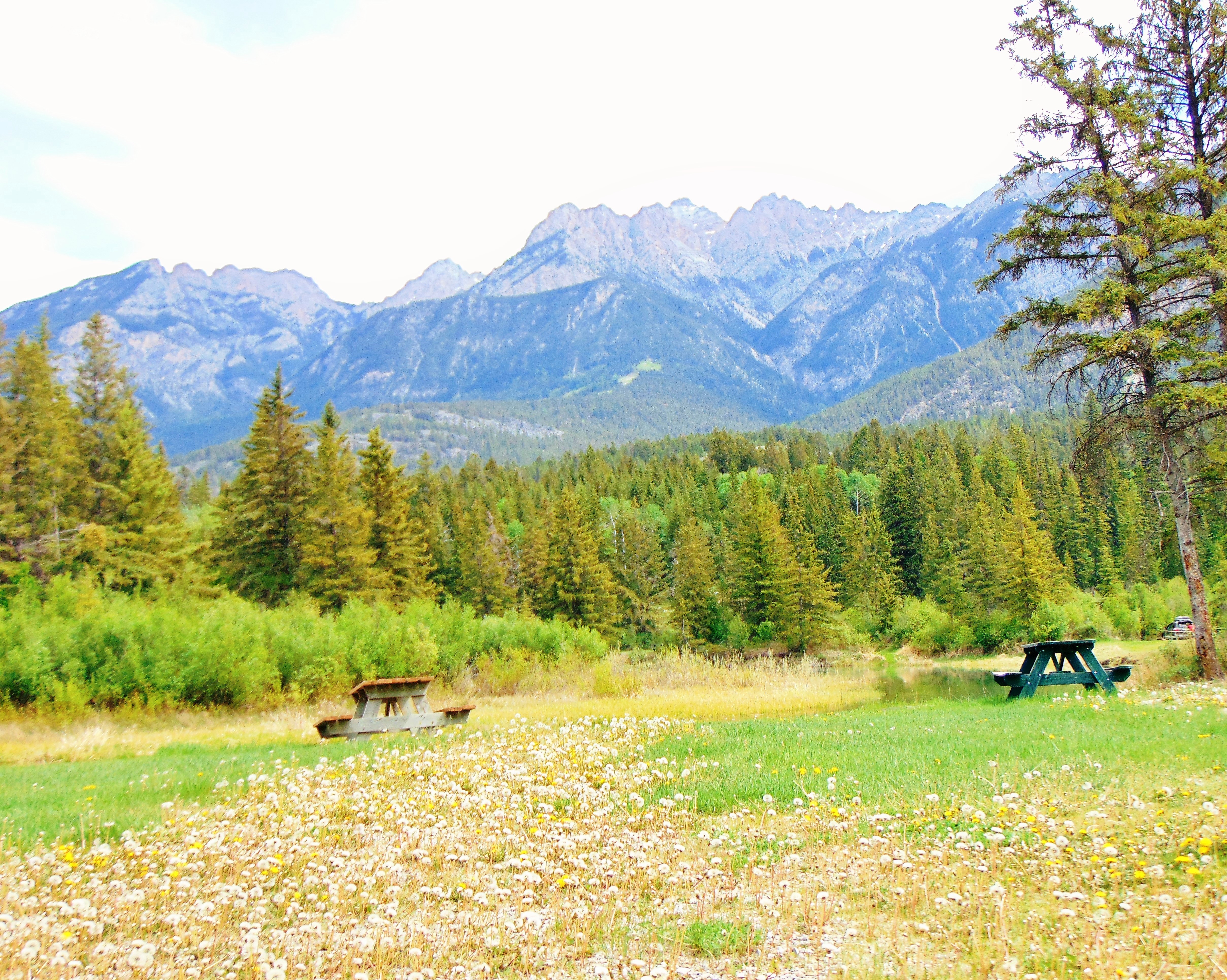 Spruce Grove Campground