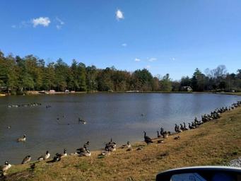 Campground image 4