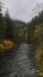 Salmon River