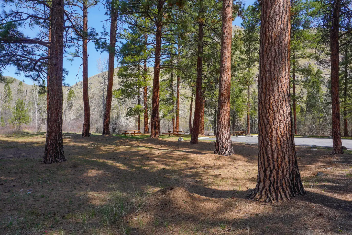 Spring Gulch
