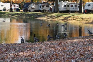 Meadow Lake Park