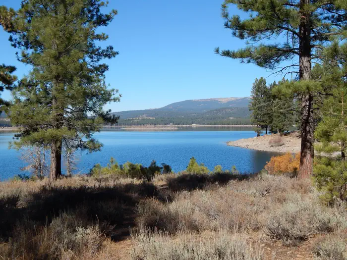 Logger Campground