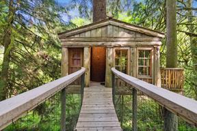 Treehouse Point