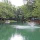 A peaceful pond surrounded by green trees with a fountain in the middle and a housing area with decks along the shoreline.