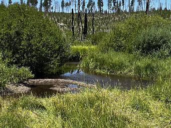 Bear Creek on edge of campground