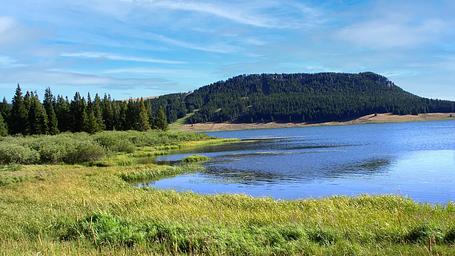 Lakeview Bighorn
