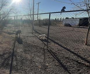 Little Vineyard RV Resort