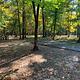 Shagbark Group Area Campsite and View of Volleyball Area