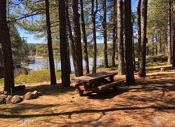 Campsite at Topsy Recreation Site