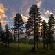 Campspot slideshow image 1
