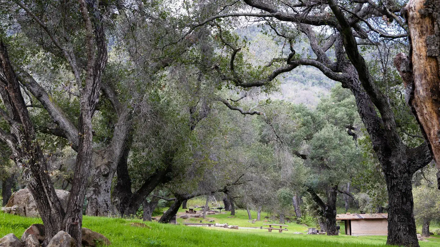 Fremont Campground