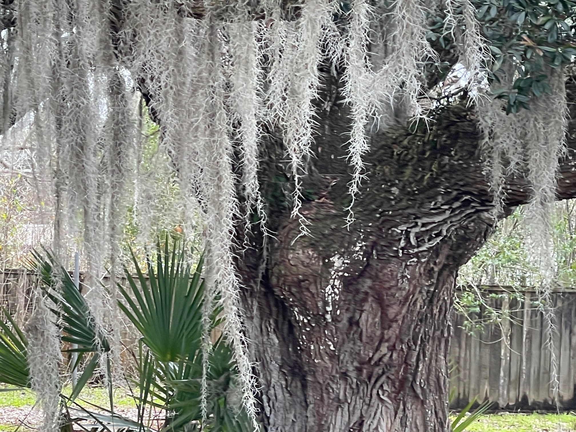 Bayou Black RV Park