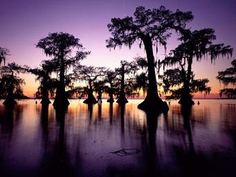 DeSoto Parish Tourist Bureau