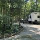 Wide view banner-style image of RVs among trees and gravel roads — good overall view of site layout and tree cover used on the home page.