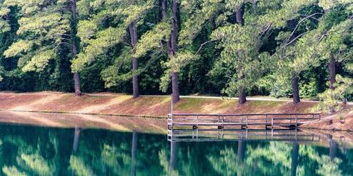 Close scenic view of the pond edge and a small dock — shows natural waterfront and tranquil setting within the campground.