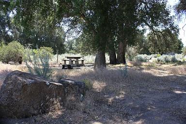 Shaded campsite