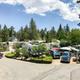 RVs parked amongst trees in RV park in Big Bear