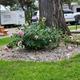 Campspot slideshow image 5