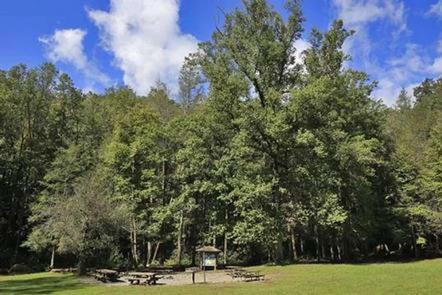 Cove Creek Lower Group Camp