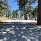 Gravel overflow parking in a shady pine tree forest.