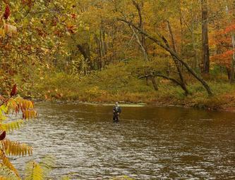 Neversink River Resort