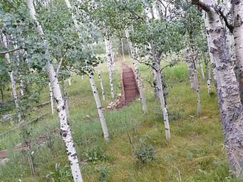 LA VISTA CAMPGROUND - LAKE ISABEL