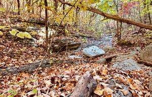Private TN Mountain Camper Retreat