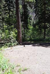 Trout Creek Campground Site 10