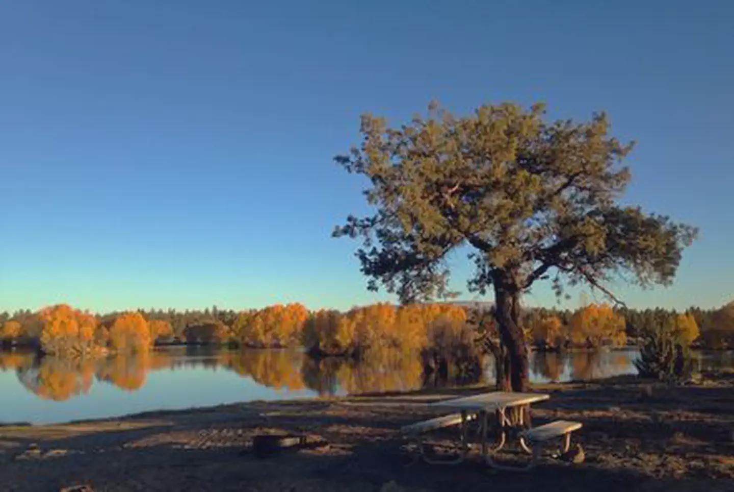 Reynolds Pond Recreation Site