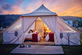 Adirondack Safari