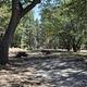 Shade & Picnic Tables of the San Gorgonio Campground...