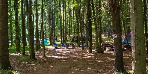 Little Lake Campground