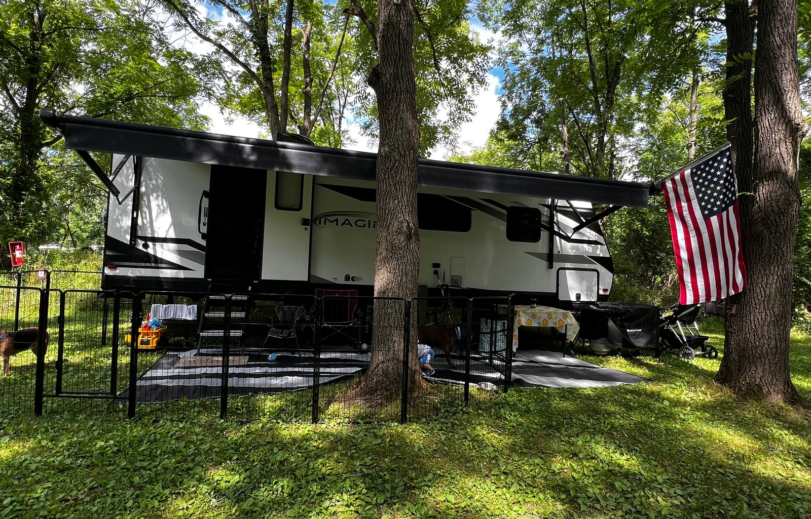 Family and Pet Friendly RV Rental