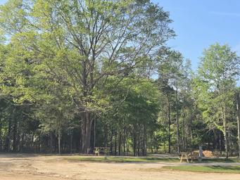 All American RVing