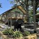 Safari Tents