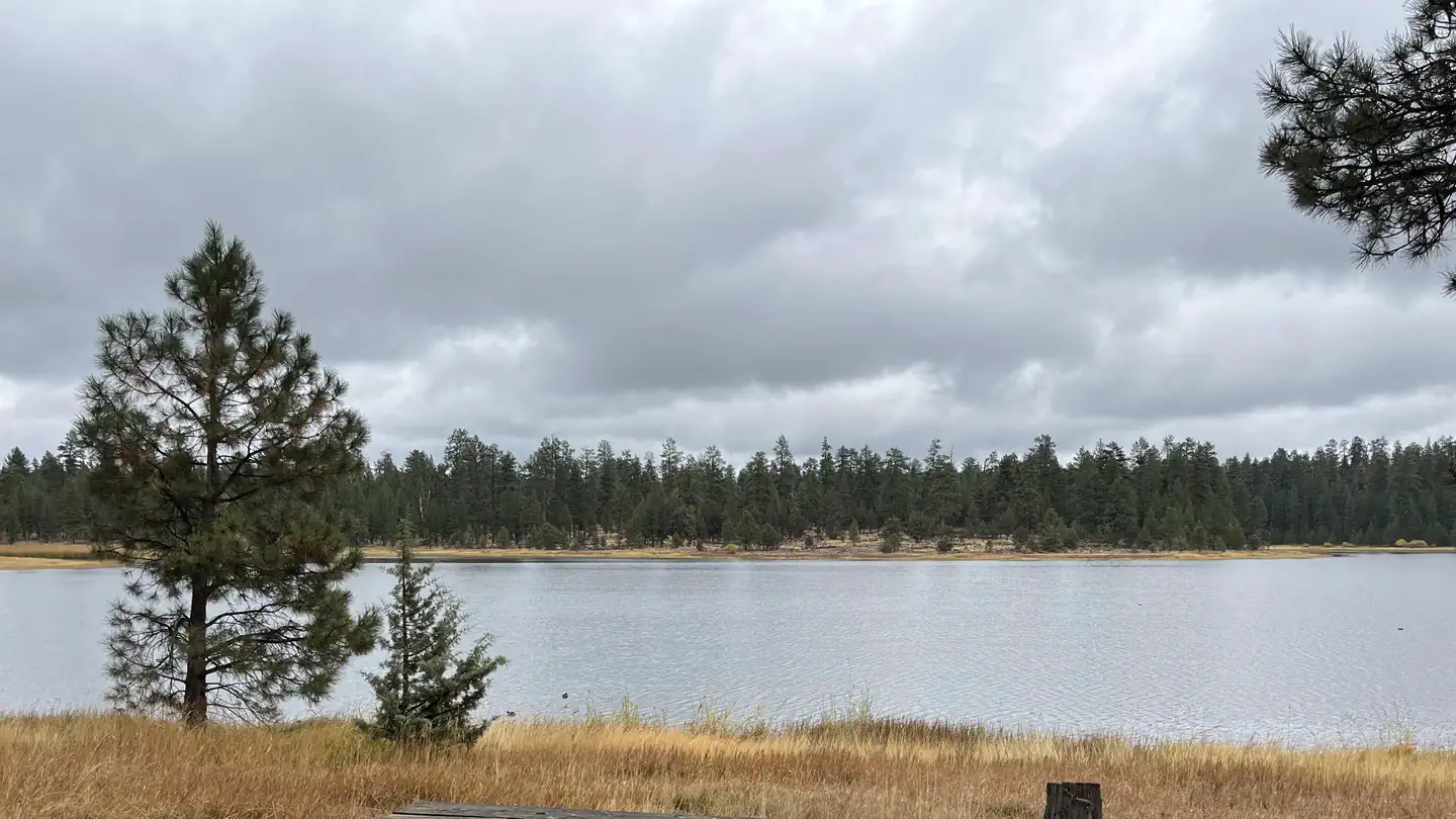 Delintment Lake Campground