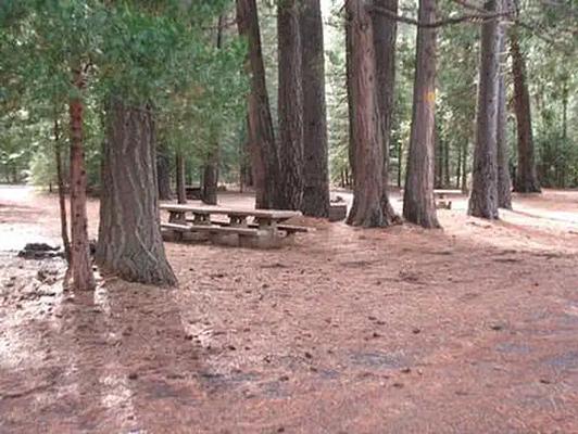 Camp 4 Group, Loop: CAMP 4 GROUP CAMPGROUND