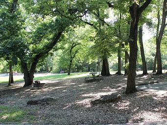 Central Group Campground  showing picnic table and trees and open space.