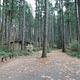 BOGUS CREEK CAMPGROUND